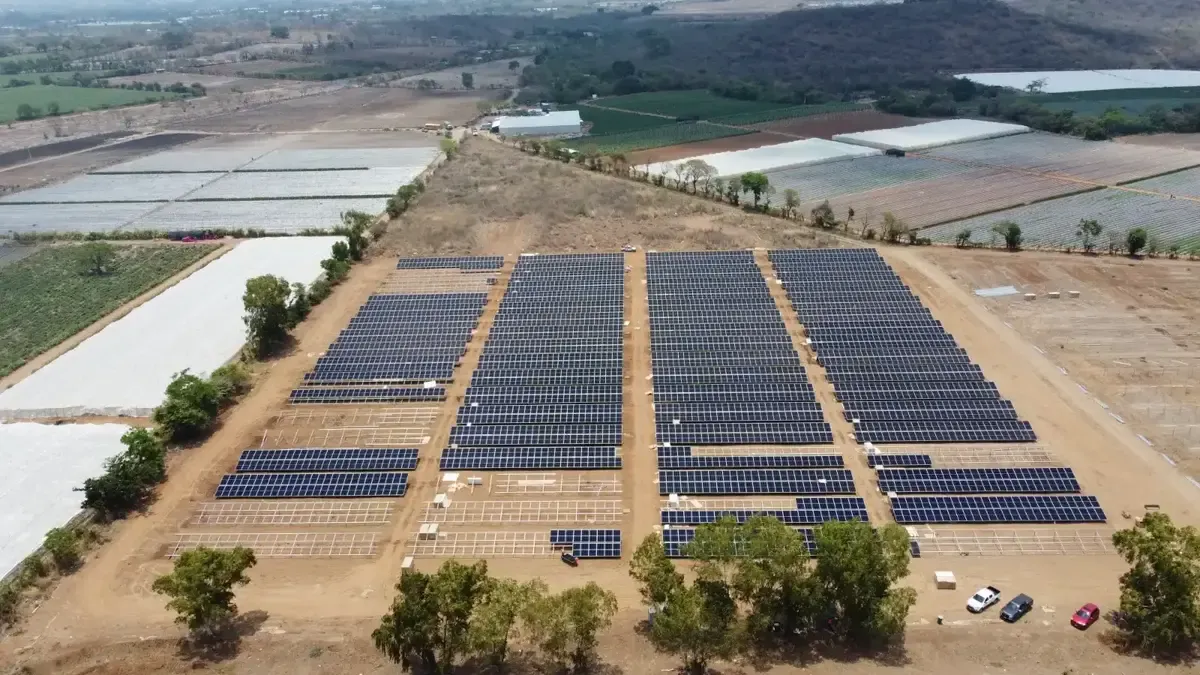 Parque solar en desarrollo